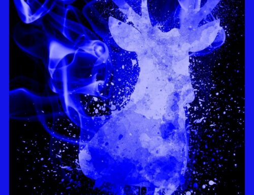 Mythic Animals in Romantasy – Part 2